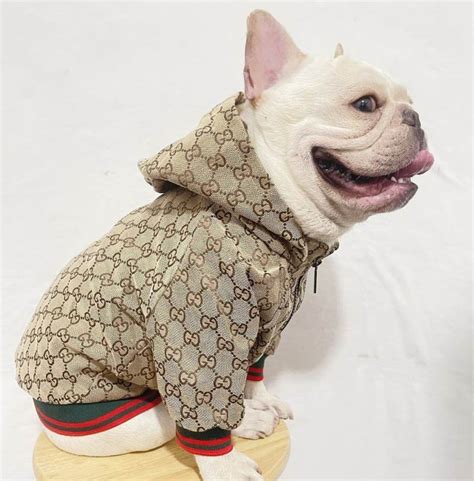 gucci dog clothes|designer dog clothes gucci.